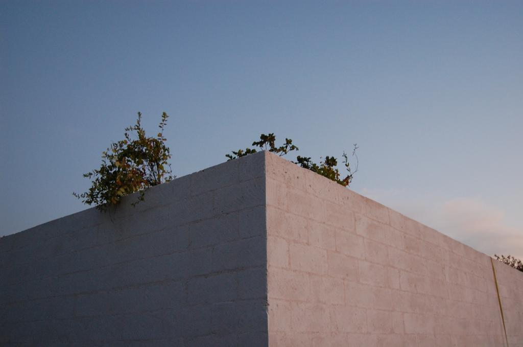 Calcebianca Ostuni Exterior foto
